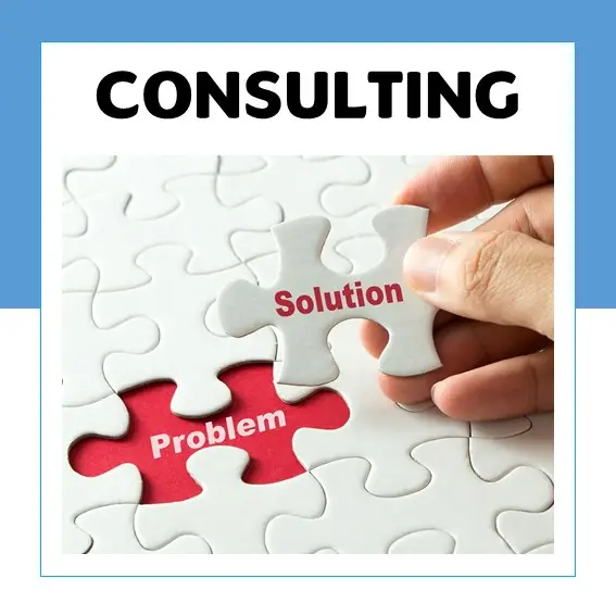 Consulting and organizational development Services